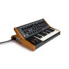 Moog Subsequent 25