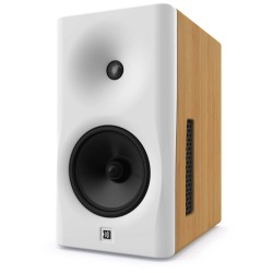 Hi-Fi Loudspeakers