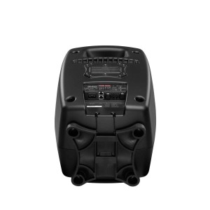 GENELEC 8361AM Smart Active Coassiale Tre Vie Black