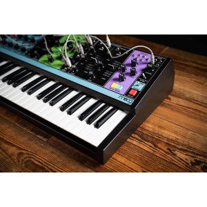 Moog Matriarch