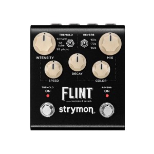 Strymon Flint V2