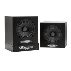 Passive Monitor Speakers