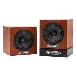 Passive Monitor Speakers