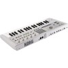 Korg microKORG 2 MWH